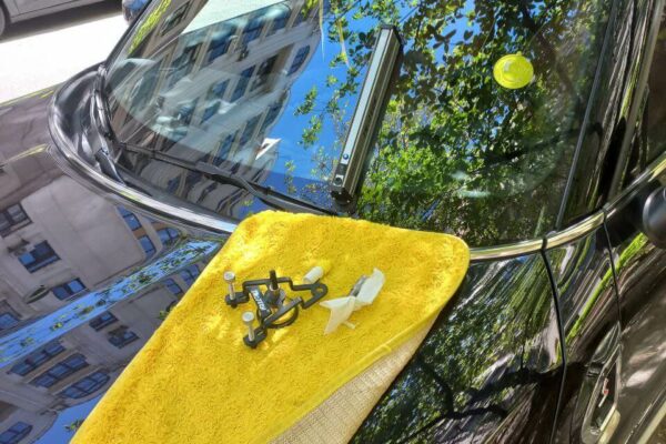 Ремонт тріщин автоскла: ціна та що на неї впливає у Києві